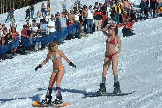 ski bunny dating A usually very rare curvaceous caucasian women, often assumed to know how to ski or snowboard most commonly used my african american men. ski bunny dating A usually very rare curvaceous caucasian women, often assumed to know how to ski or snowboard most commonly used my african american men.