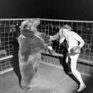 man-vs-bear