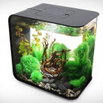 Biorb Flow Aquarium for Your Bachelor Pad