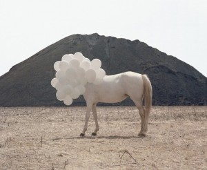 Horse-and-balloons