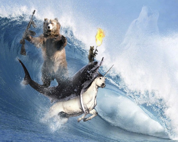 bear-shark-unicornsurfing