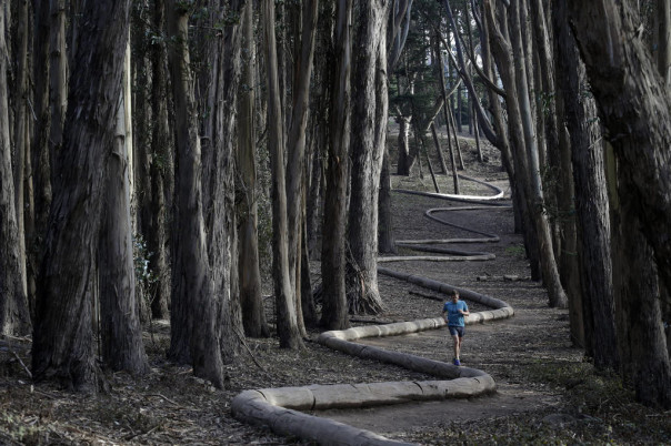 Photos-Of-The-Year-2014-Credit WSJ 2