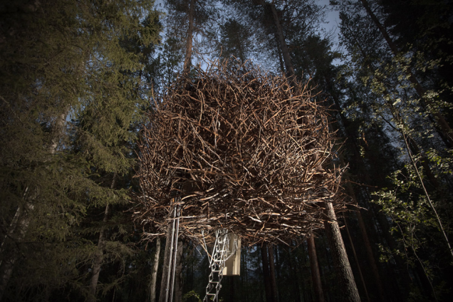 Awesome Tree House