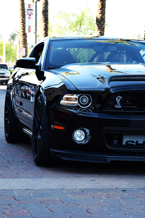 black mustang shelby