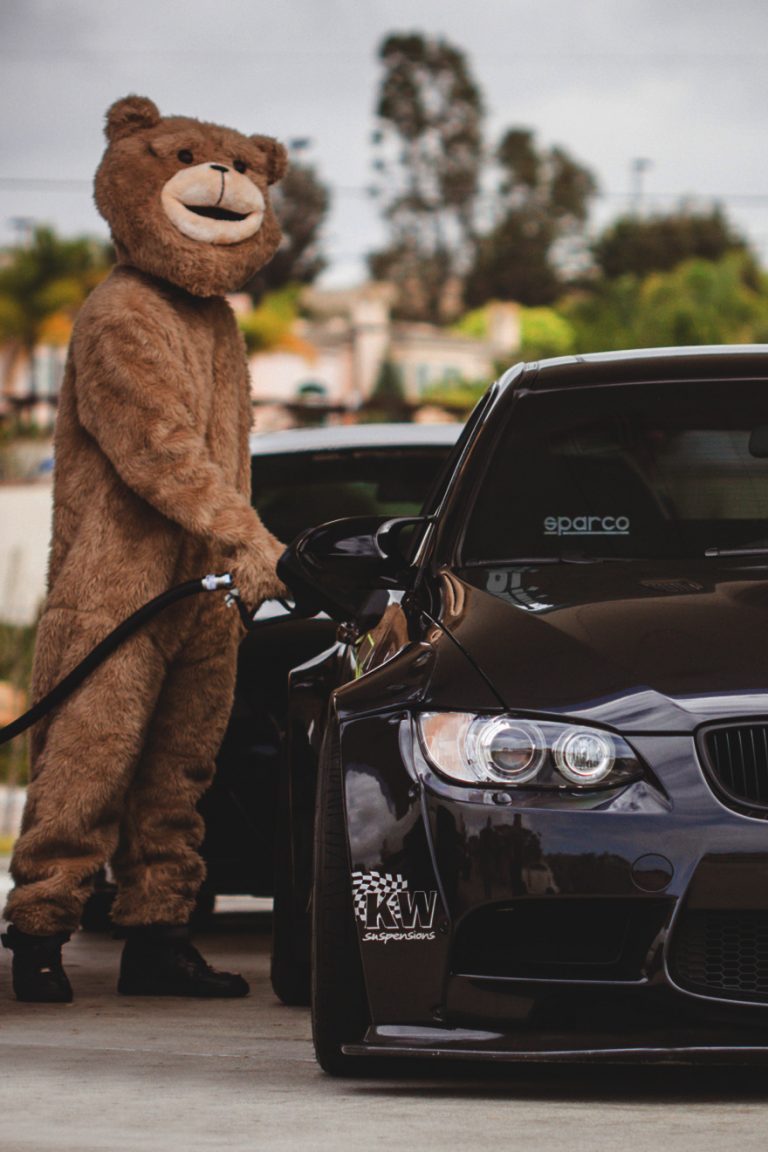 bmw fill up bear - Urbasm