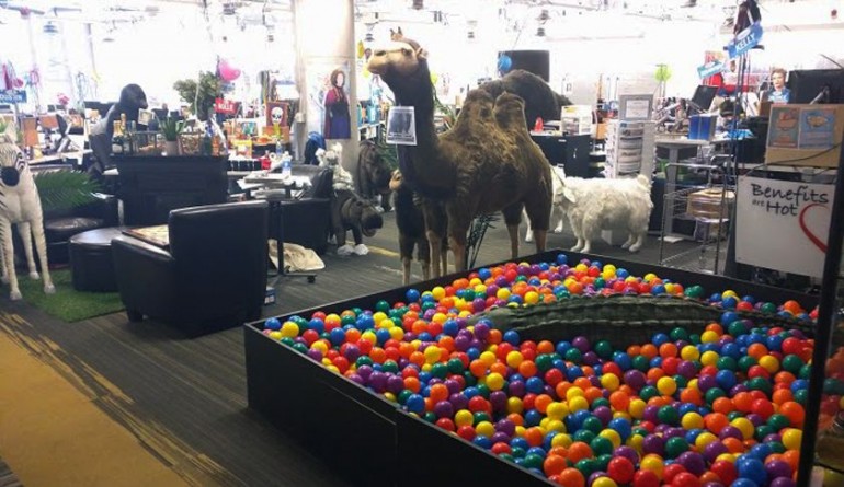 Zappos office - ball pit - Urbasm