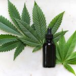 10 Things Every Guy Needs to Know About CBD